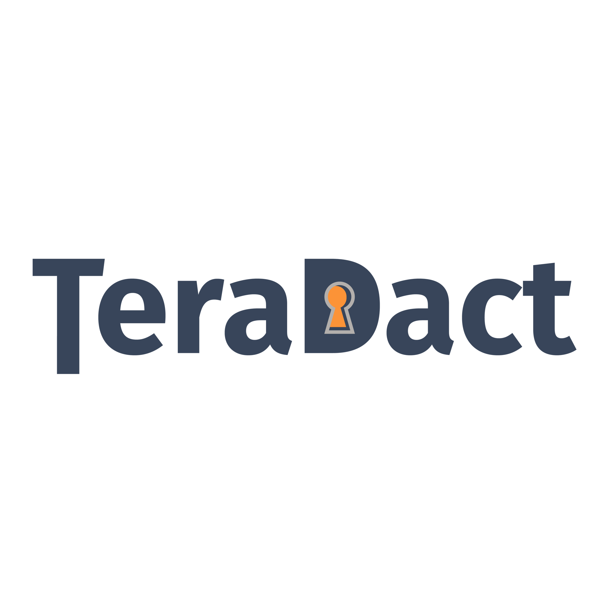 Teradact-Wordmark-Main-01-2
